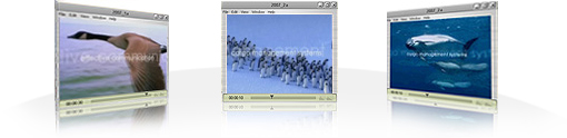 TV Spots 2007